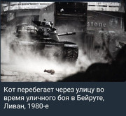 https://i.postimg.cc/zH749HsW/photo-2026-05-04-02-40-16.jpg