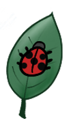 2025-05-30-0r5-Kleki