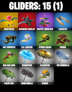 gliders-comp