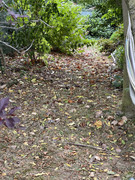 IMG-5550