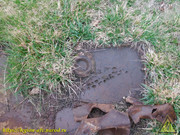 DSCN6652