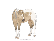 0ED4D29A-B7C2-4465-BBAD-5216B228D526