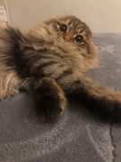 2364ecdc-ebca-46ff-820e-764c39f92341