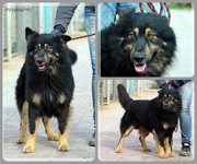 Be-Funky-collage-23.jpg&key=1302b2b1e5ba