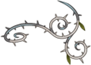 Curl-Right