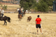 IMG-0443