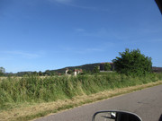 IMG-7639.jpg