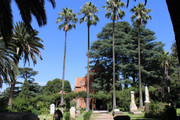 IMG-1295