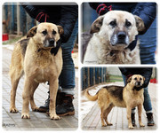 Be-Funky-collage-23.jpg&key=ce6ed8852ffd