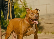 Screenshot_20230710_170148_Gallery