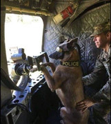 273835719_242270424773751_7994333701621394892_n