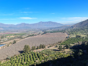 IMG_20250719_105932373_HDR