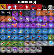 gliders-comp
