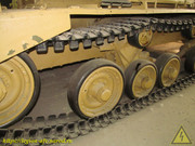 IMG-8626