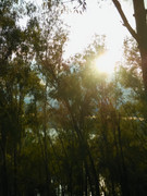 photo 16 2026 01 10 16 00 05