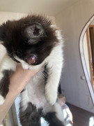 8E75FDB3-B586-4C31-B5E6-E4EBC9F50F0D