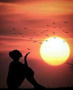 3e5a6c0a8a26339d5b8e60a8c154ffeb