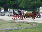DSCN7408.jpg