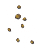 GJ-PUCluster-Joyful-Snowman-5