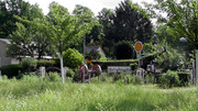S1470155