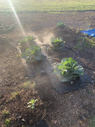 0FAF1849-6876-47C1-94A0-D3DD38FA69E6