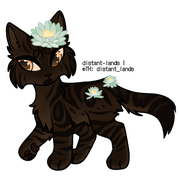 brown marbled bengal