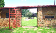 DSC-0370