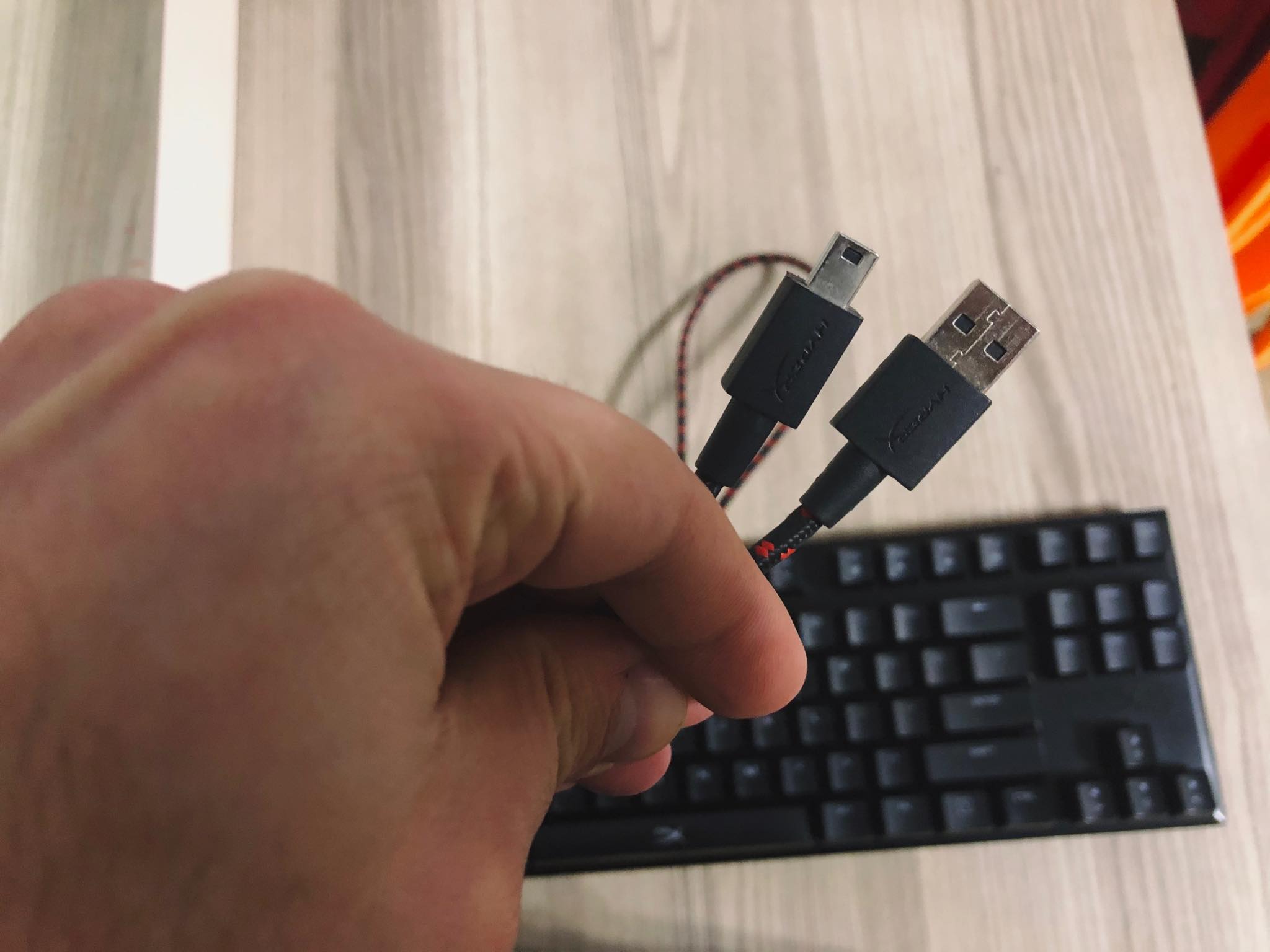 86718709-487975935200002-448921294292280