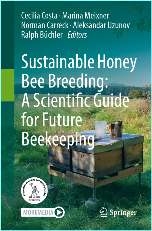 [Kép: kpqoj9f6b5g1.png]