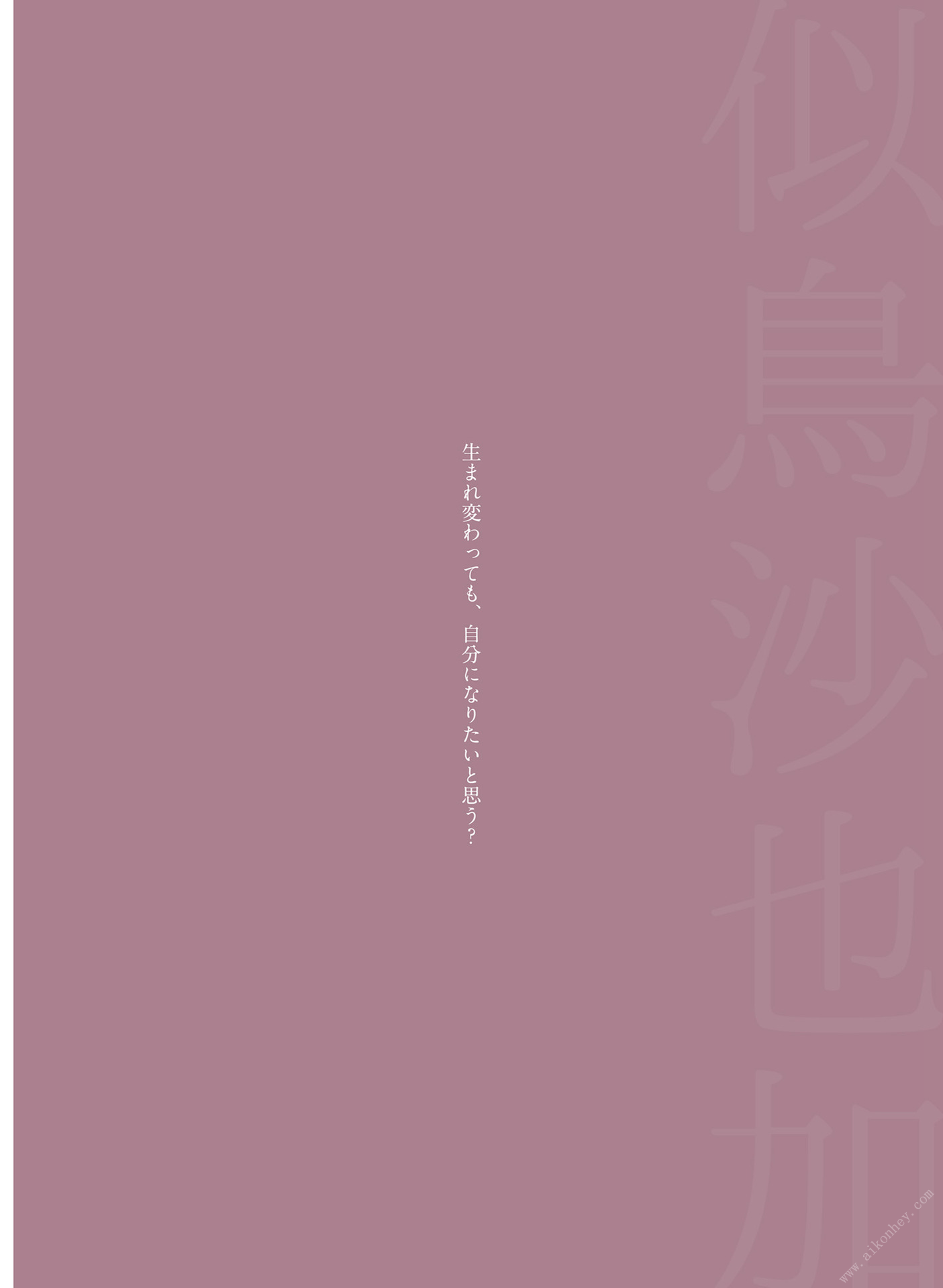 似鳥沙也加 NO.005「Ribbon」 2