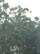 A731DCB1-9C4E-4404-8EAB-196367A5403F