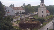 Kép