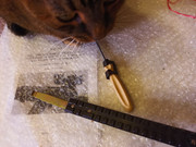 photo_2024-03-21_09-17-56 (3)