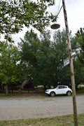 DSC-0016