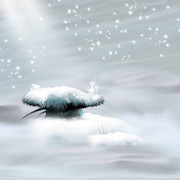 Z-ATaste-Of-Winter-Papers-8