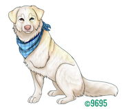 479FBAA6-96FE-474F-A935-4763255424F6