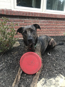 9A86CDA5-0FF4-4E28-B33F-393D1974262E