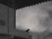 65.5.dirty photomaker V