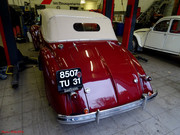 DSC02796.jpg