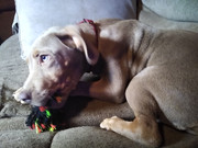 IMG_20220701_132439332_MP