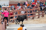 IMG-0125