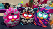 talking-furbies