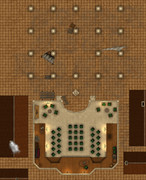 a-Canny-Jackal-26x32-Ground-grid-lights