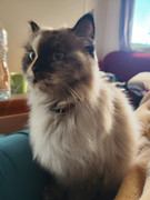 Ленивый Египет (Хургада, Луксор, Каир), декабрь 2025 - январь 2026