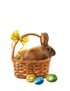 Easter-Bunny-6