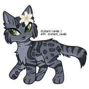 silver/blue spotted bengal