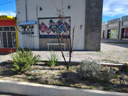 IMG-20260315-163750960-HDR