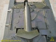 IMG-0074
