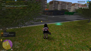 IMG-6306
