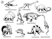https://i.postimg.cc/zLsnHrp1/30x40-noms-DINOSAURES.jpg